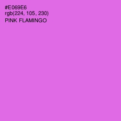 #E069E6 - Pink Flamingo Color Image